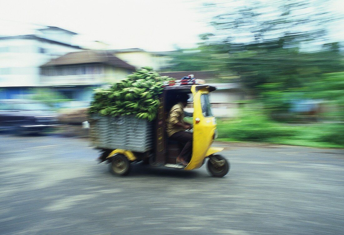 Transporting bananas by goods auto rickshaw