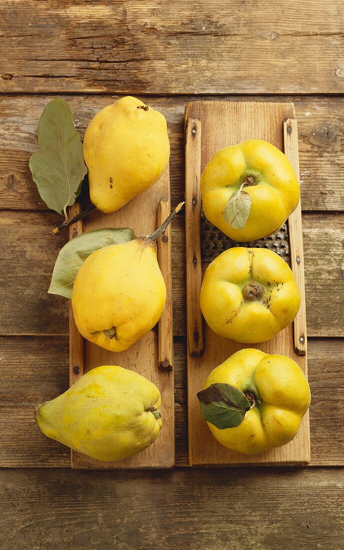 Fresh quinces on old wooden graters