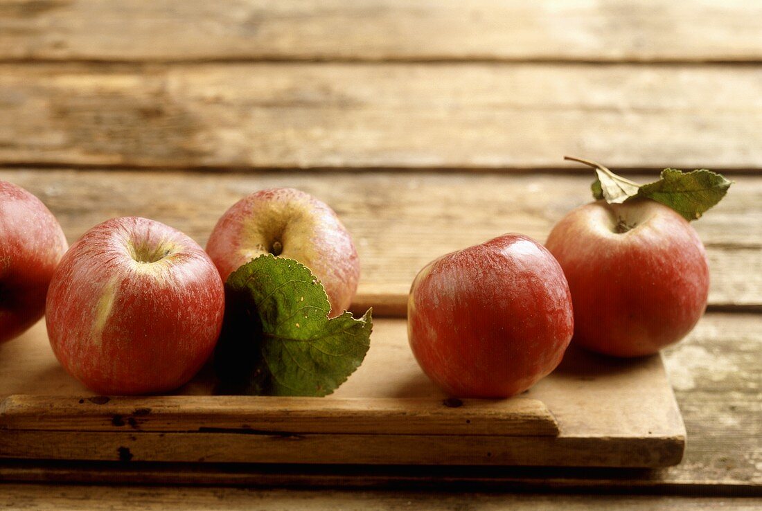Äpfel der alte Sorte Ilzer Wienler auf Holzuntergrund