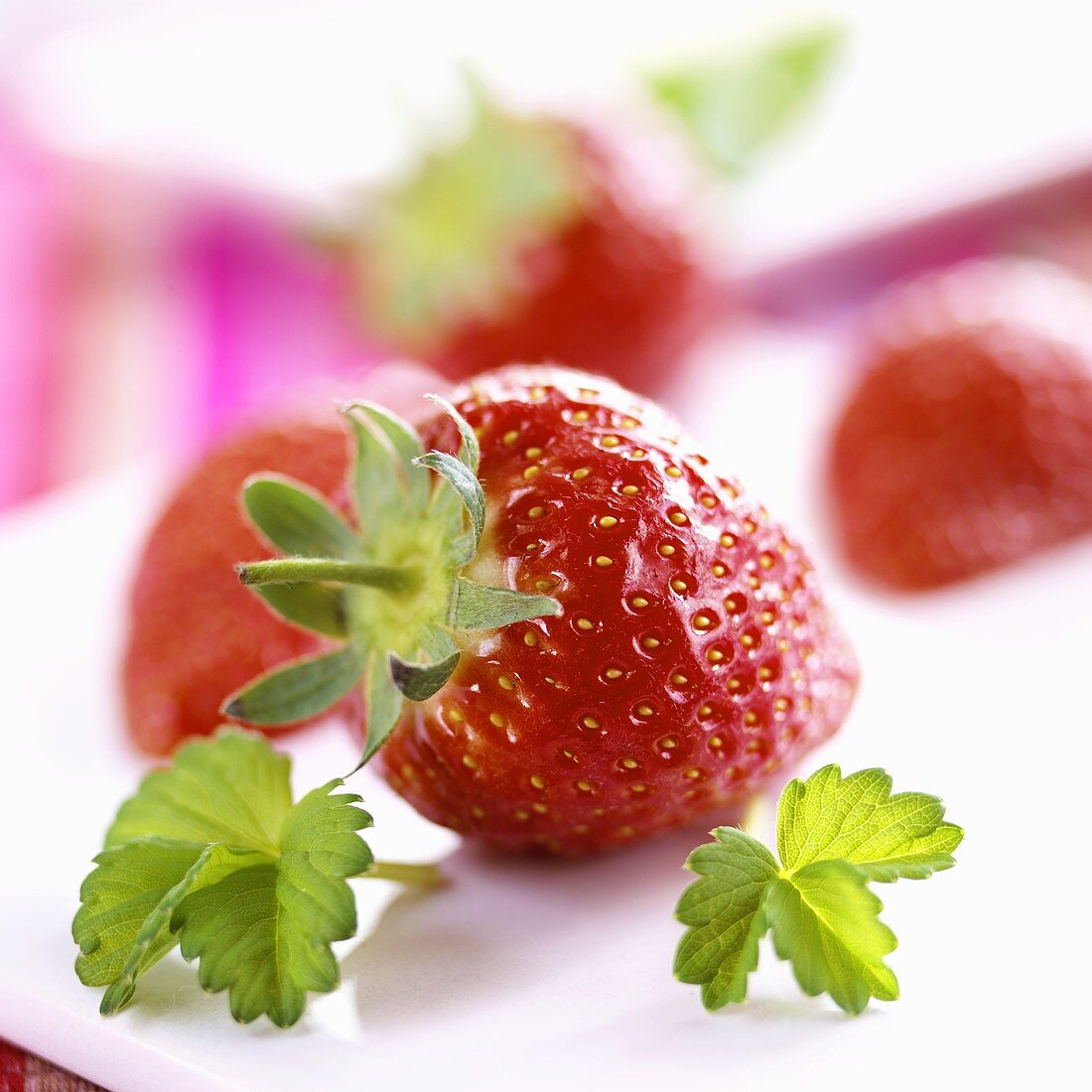 Frische Erdbeeren mit Blättern