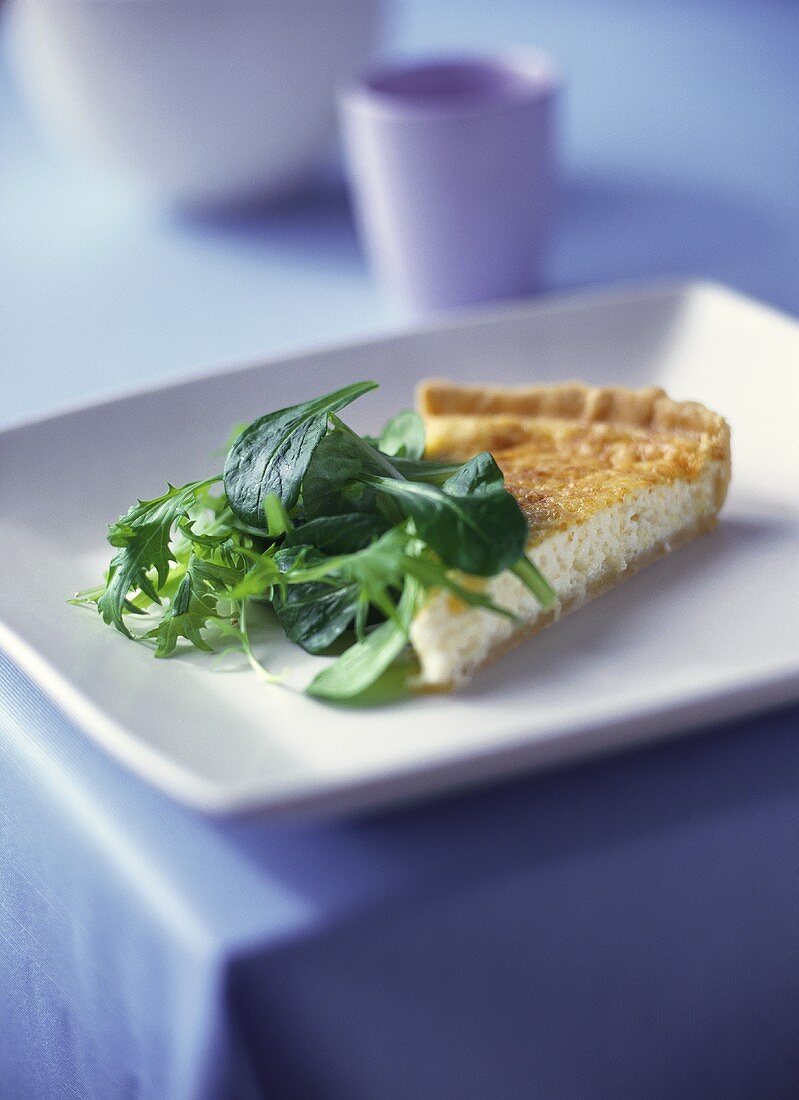 A piece of cheese tart, with salad garnish