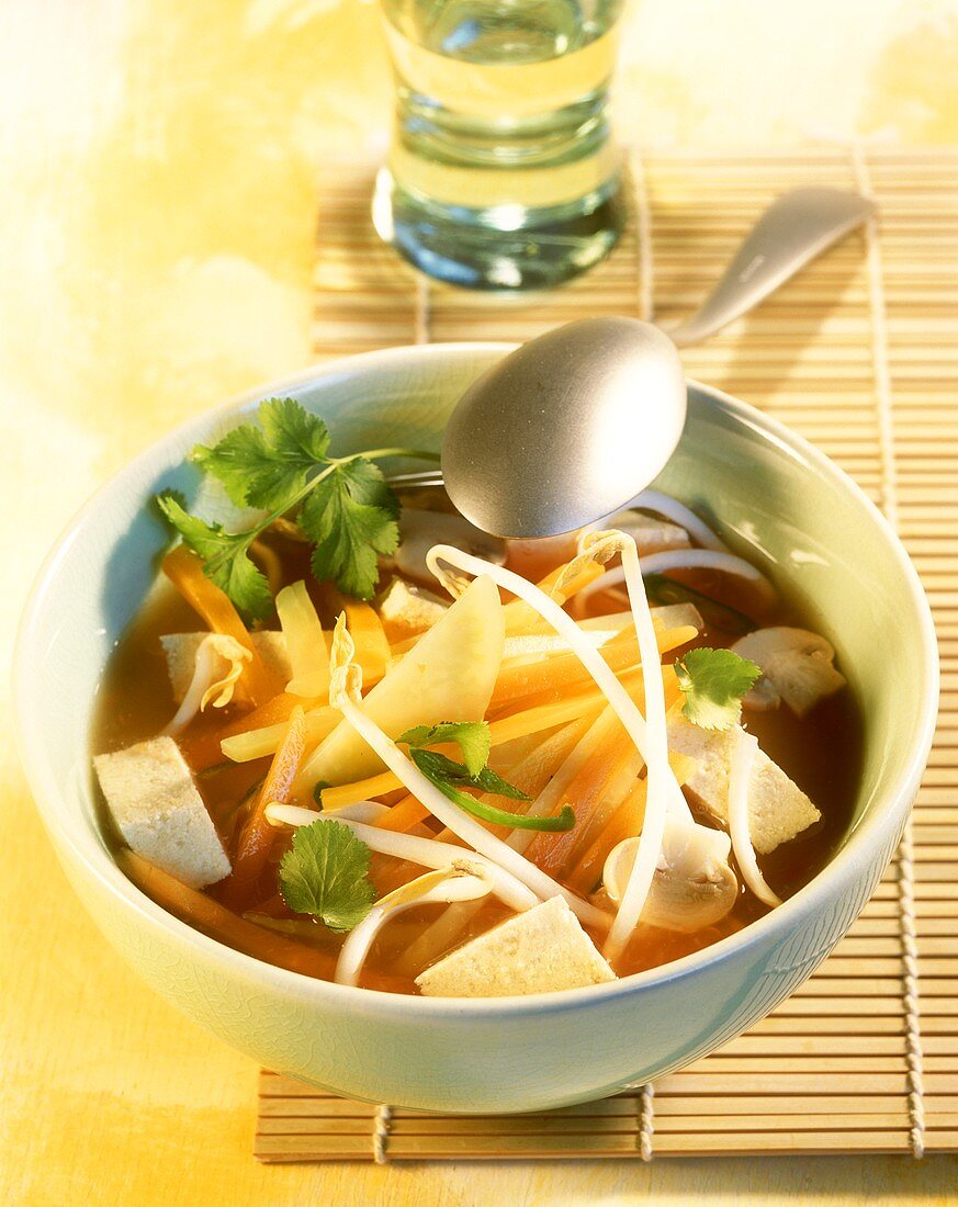 Vegetable soup with tofu and coriander