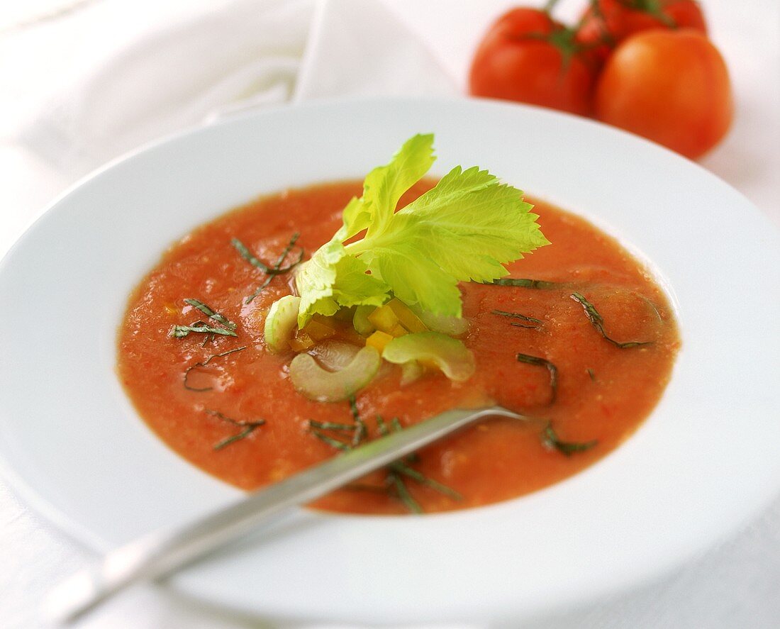 Gazpacho mit Staudensellerie