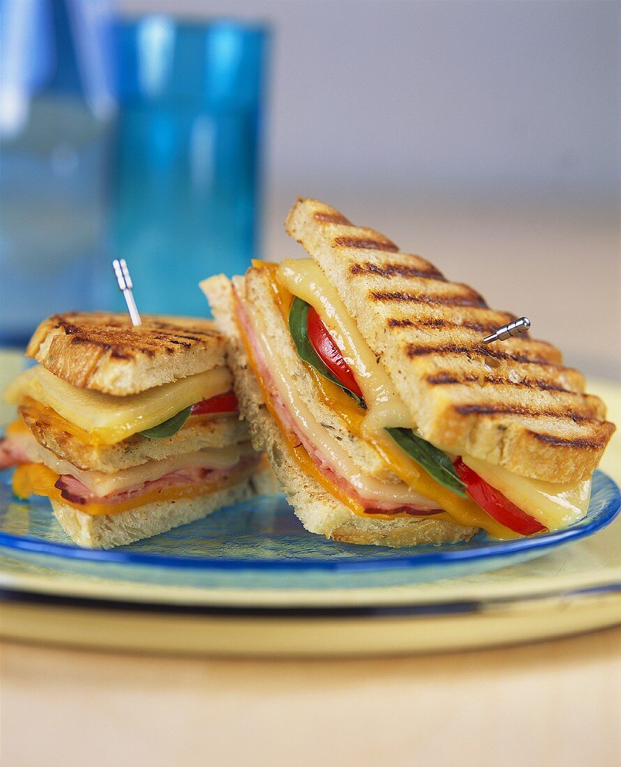 Toasted club sandwich with cheese
