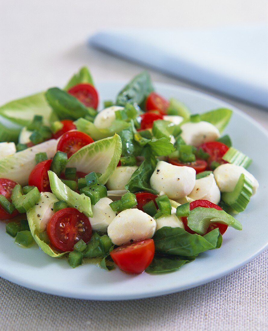 Gemüsesalat mit Mozzarella