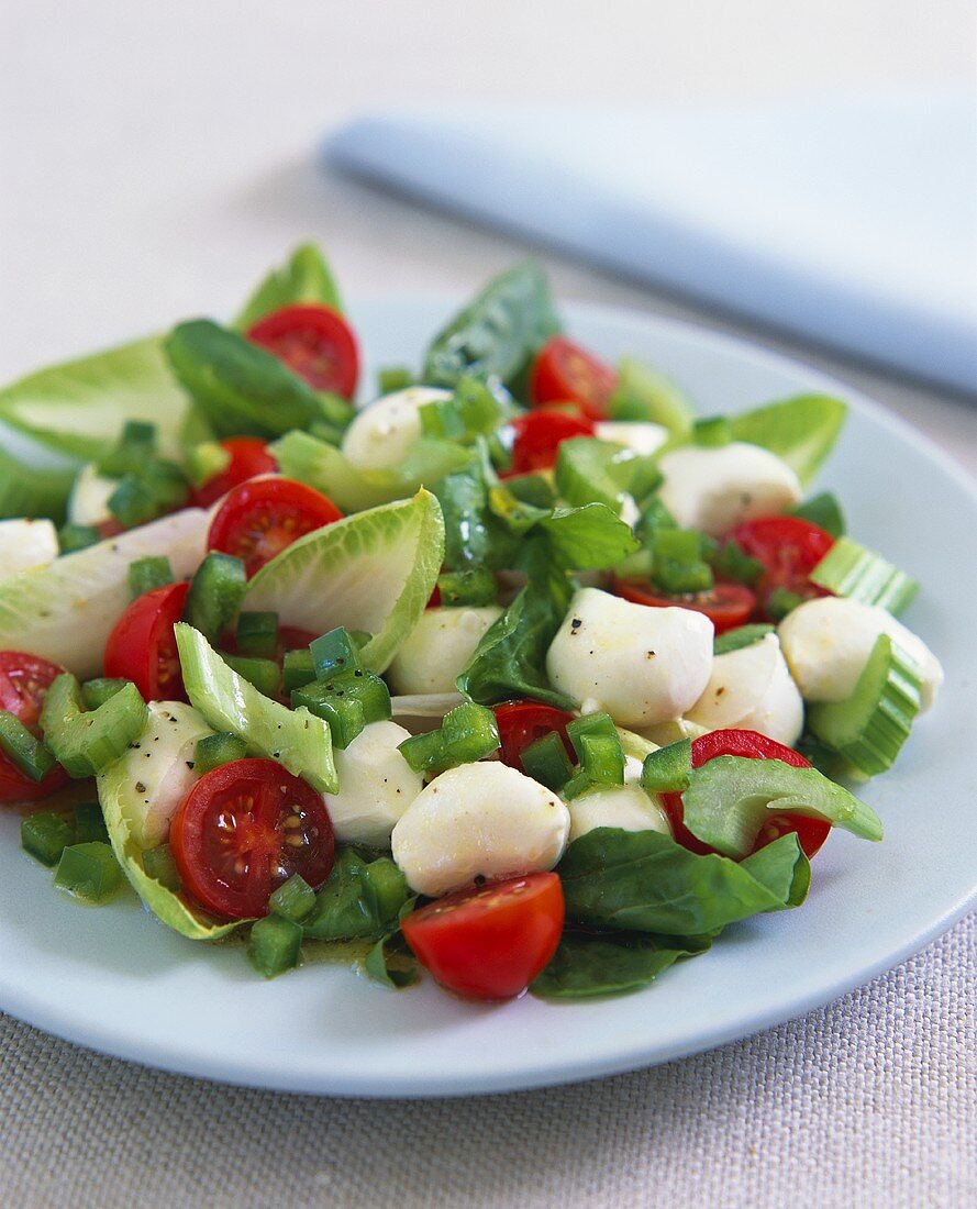 Vegetable salad with mozzarella
