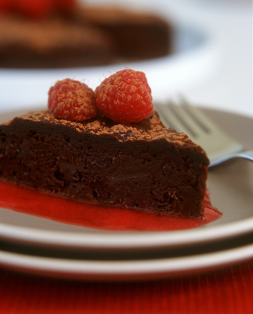 Piece of chocolate cake with raspberry sauce