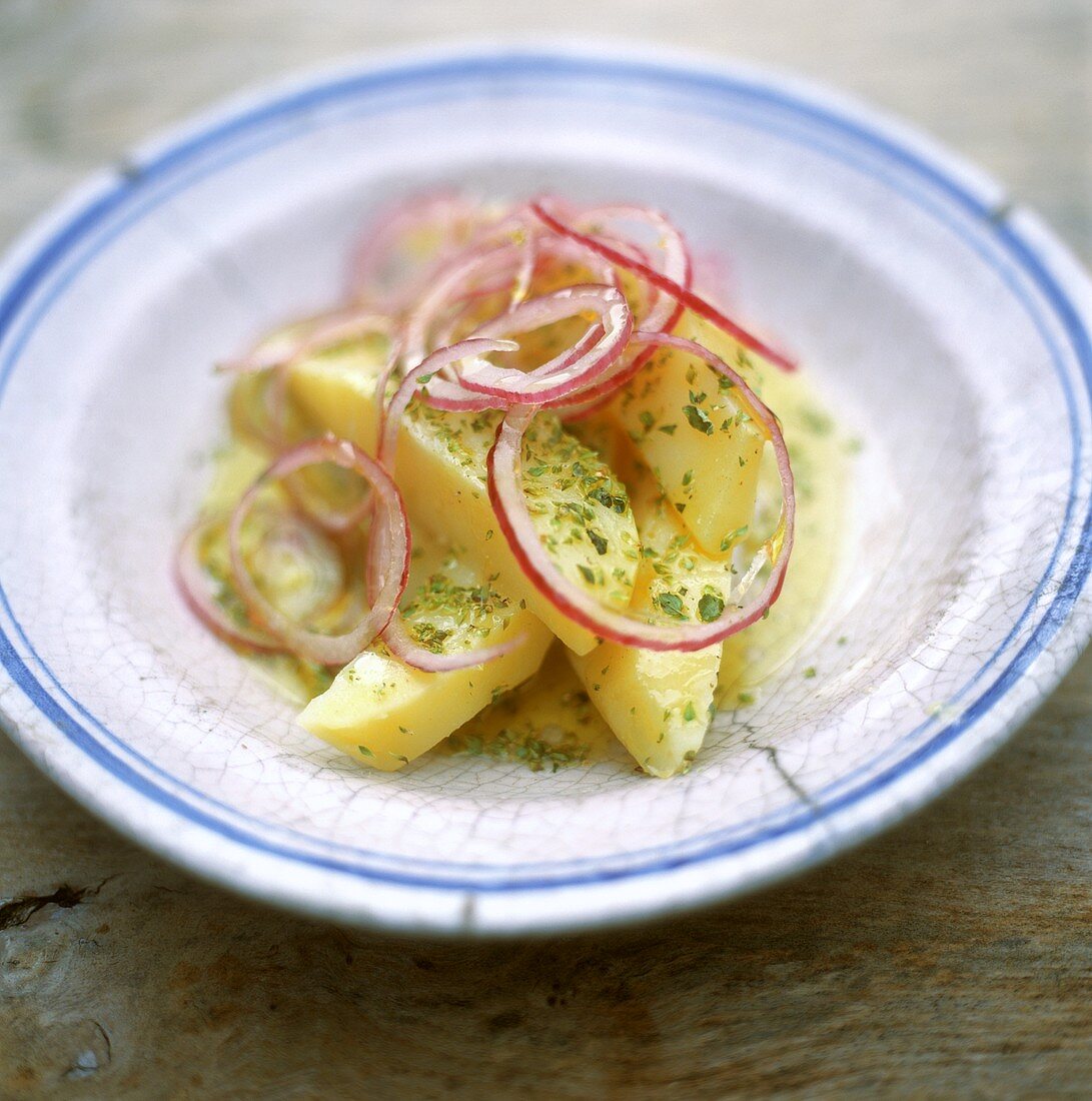 Harzer Käse mit Zwiebeln und Kräutervinaigrette