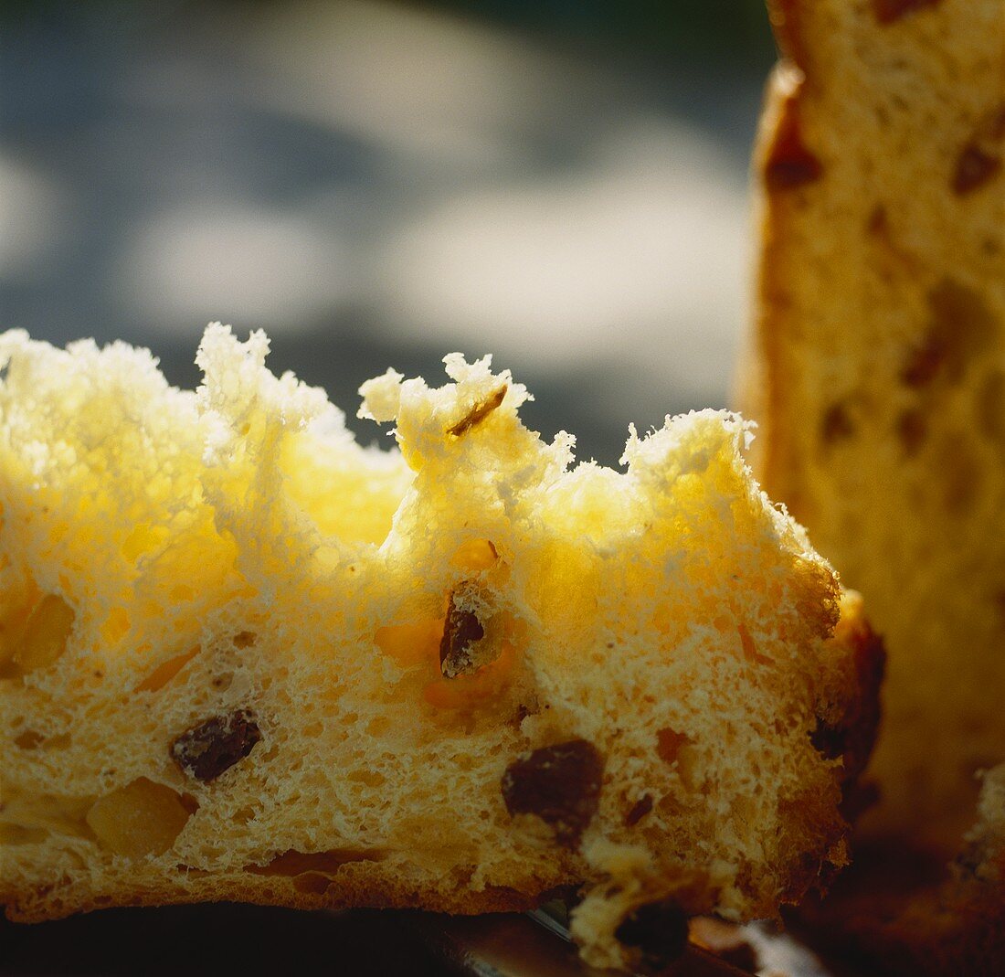 Panettone (Christmas cake), Lombardy, Italy