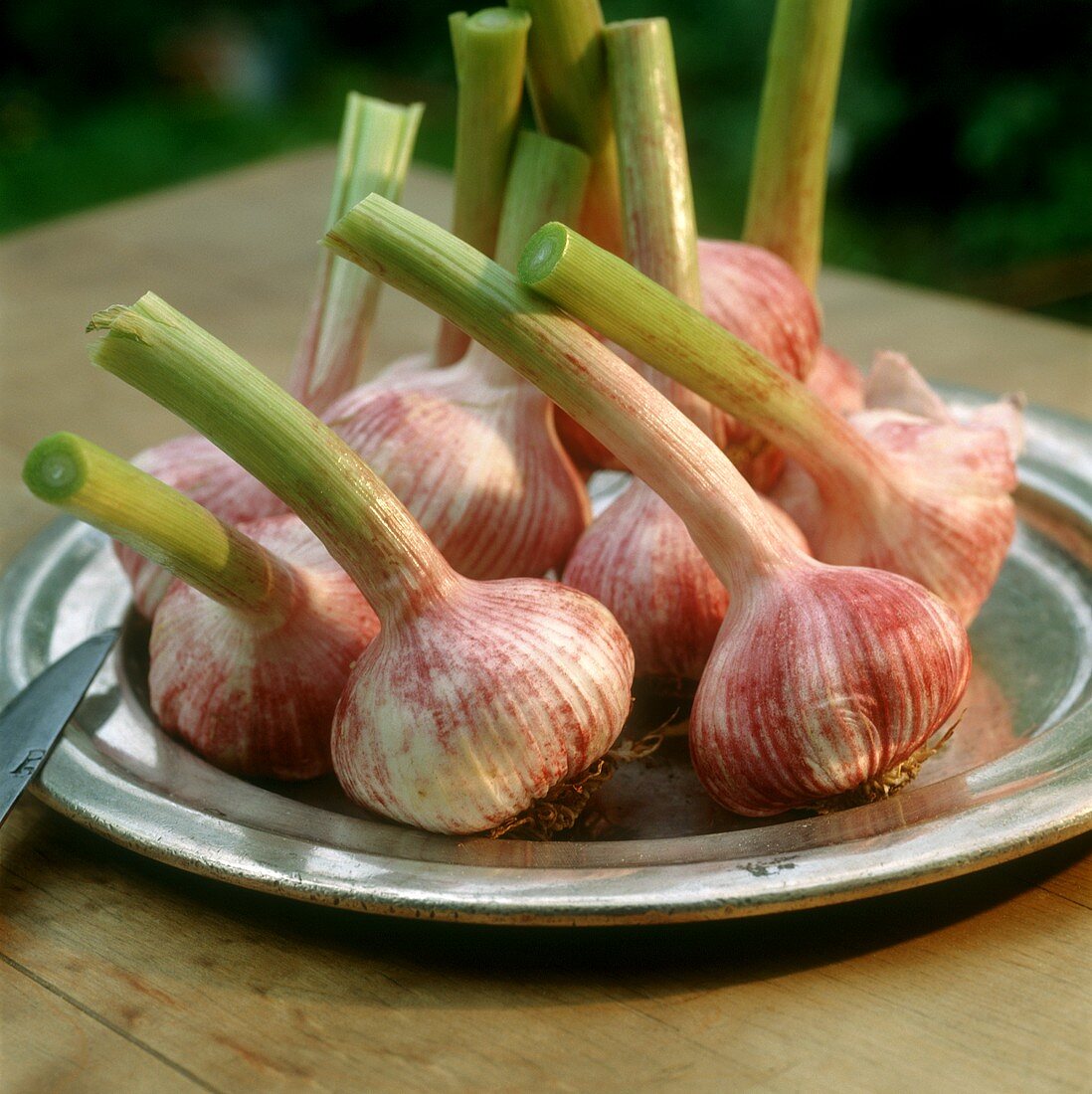 Frischer Knoblauch auf Zinnteller