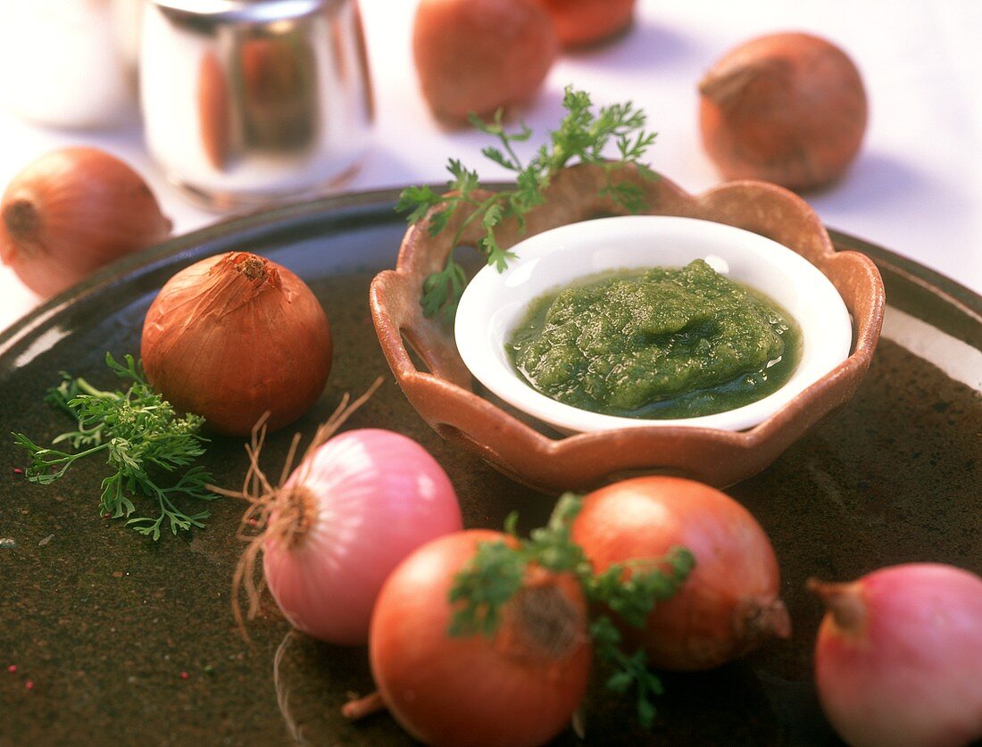 Piyaz Ki Chutney (Zwiebelchutney), Maharashtra, Indien