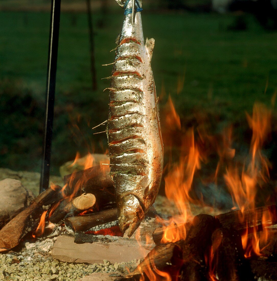 Lachs über Grillfeuer im Freien