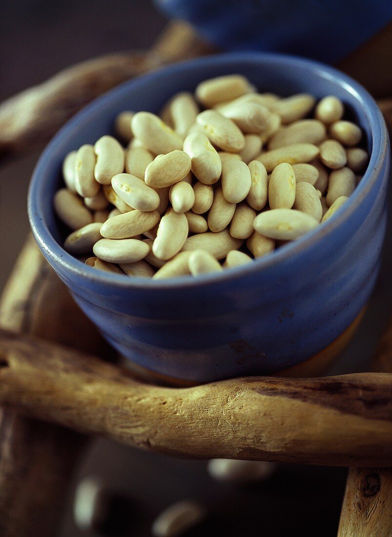White beans in blue bowl