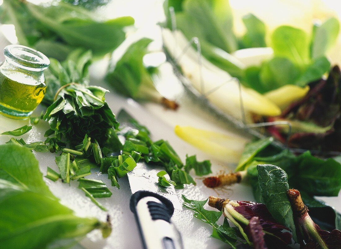 Stillleben mit verschiedenen Blattsalaten, Messer und Olivenöl