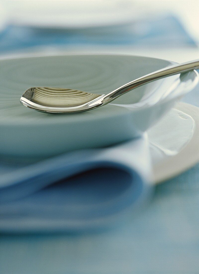 White soup plate with spoon