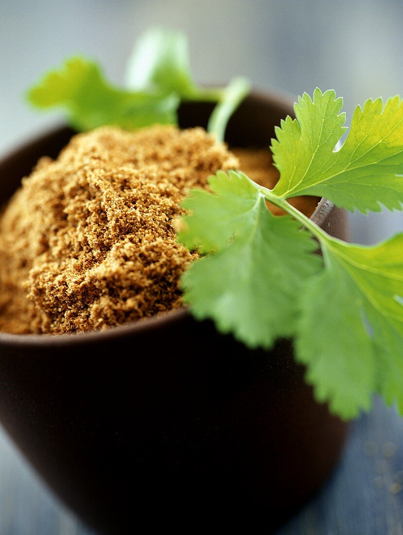 Ground coriander in bowl and coriander leaves