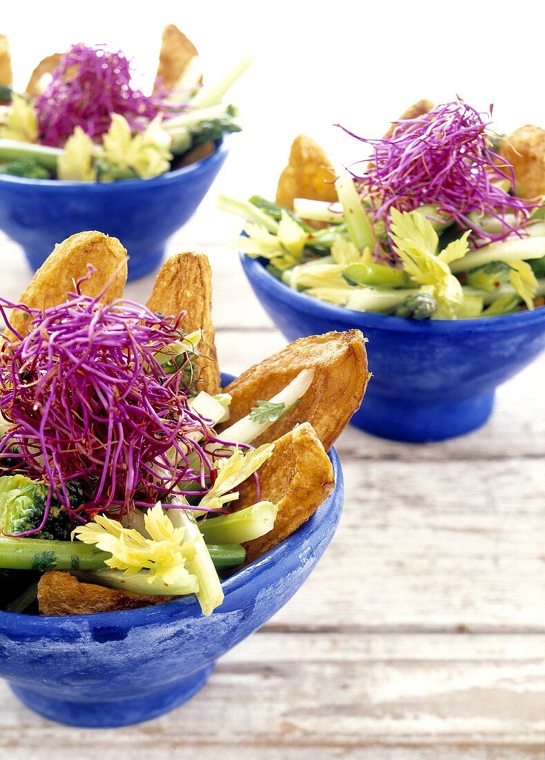 Vegetable salad with crisps and shredded red cabbage
