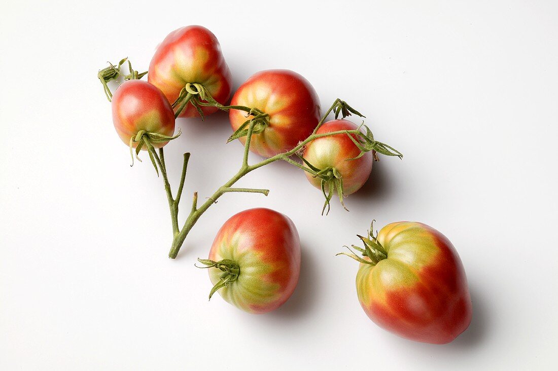 Rot-grüne Tomaten der Sorte German Red Strawberry