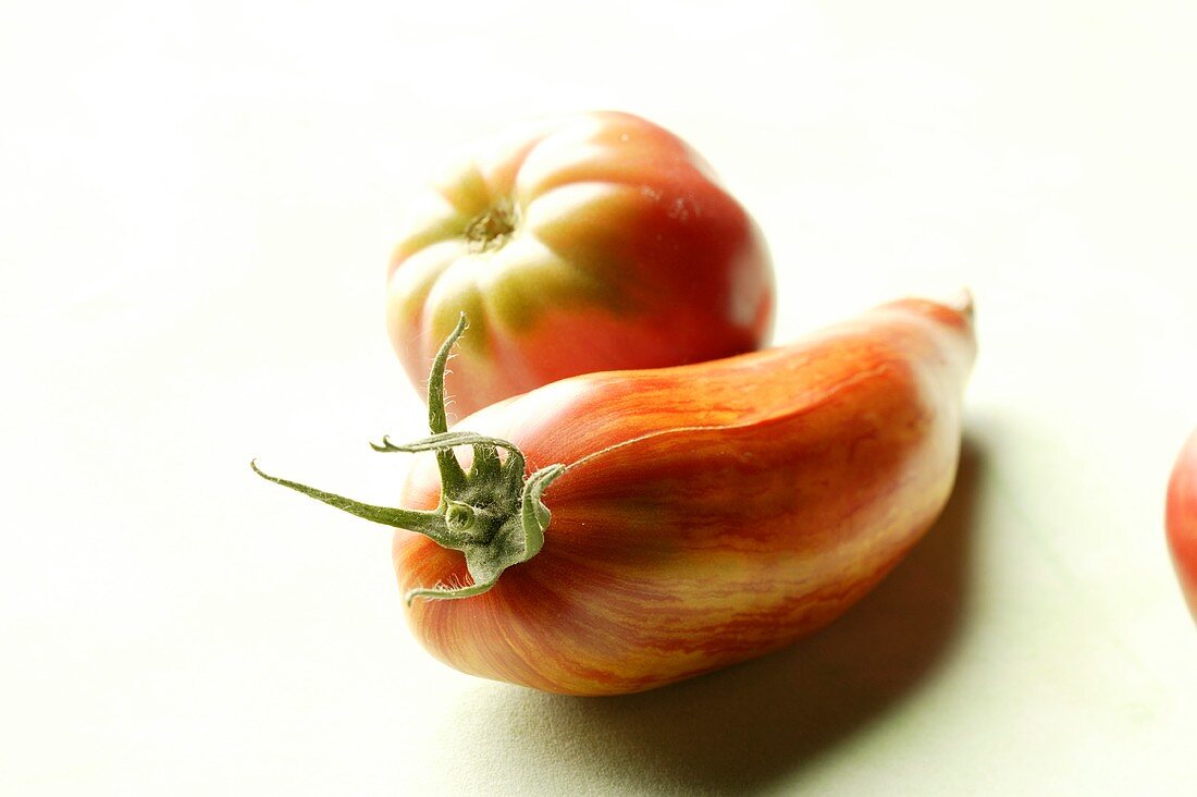 Various types of tomatoes