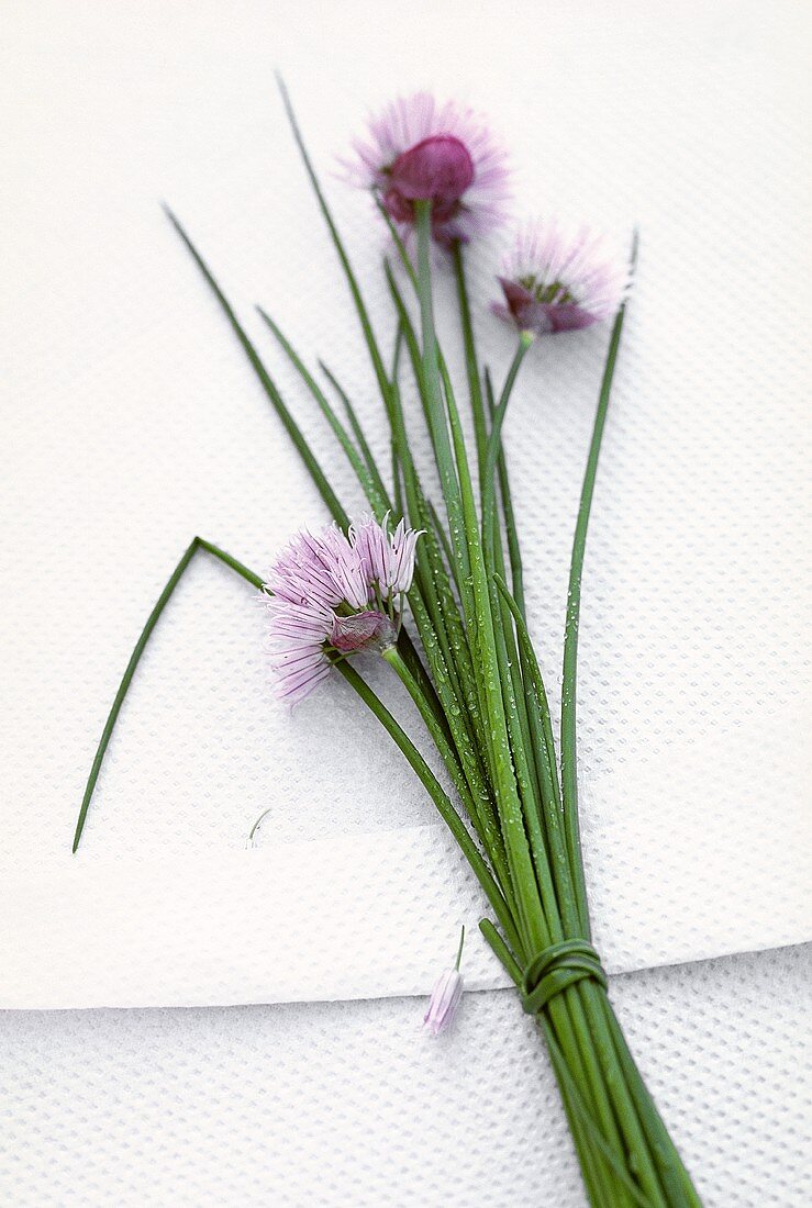 Frischer Schnittlauch mit Blüten