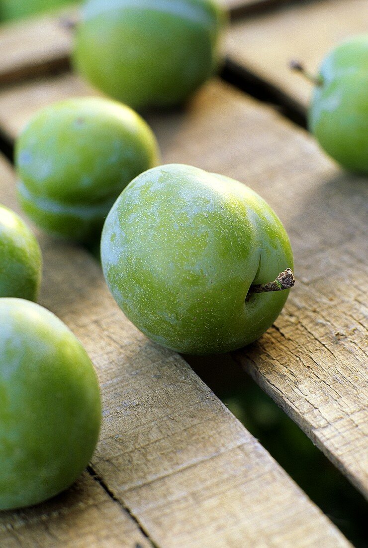 Fresh greengages