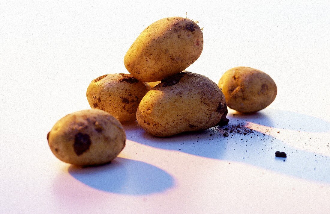 Neue Kartoffeln mit Erde