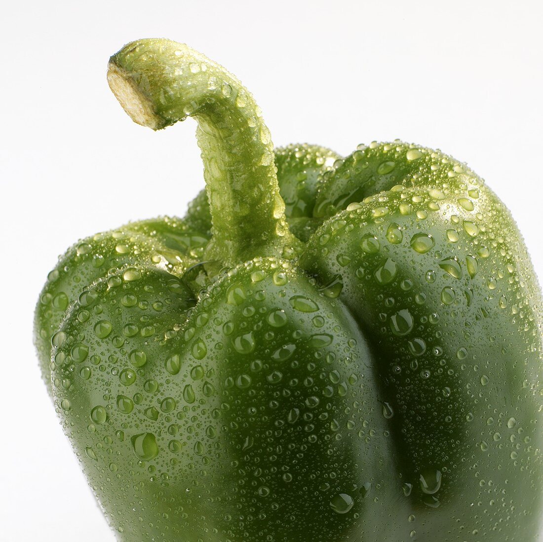 Green pepper with drops of water
