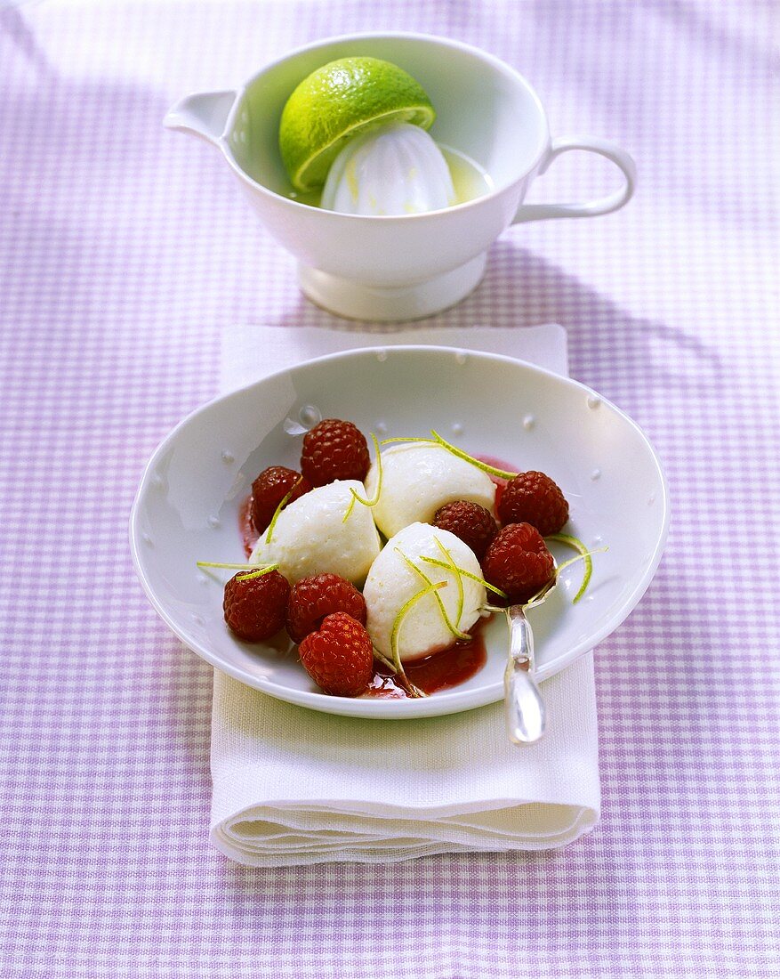 Lime cream with raspberry sauce