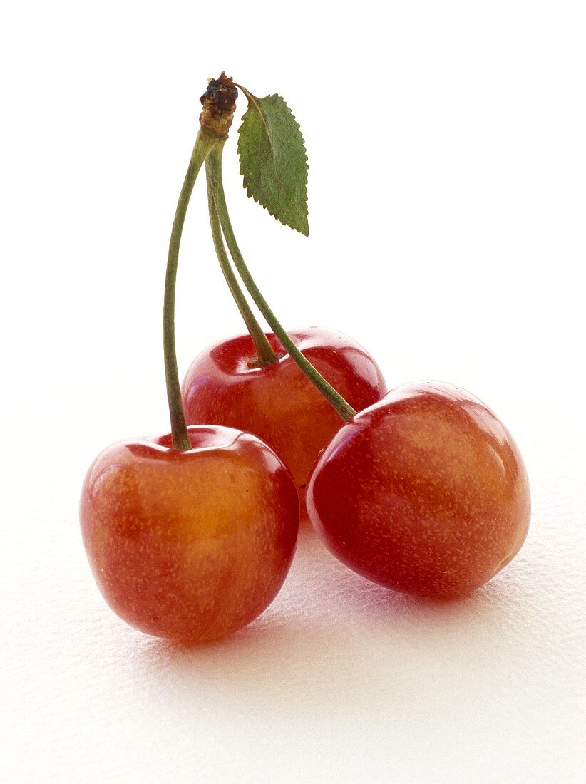 Cherries with stalk and leaf