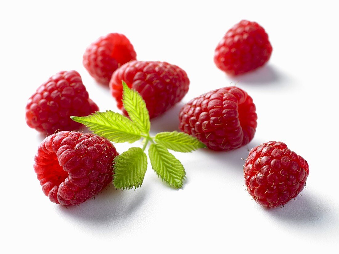 Frische Himbeeren mit Blatt