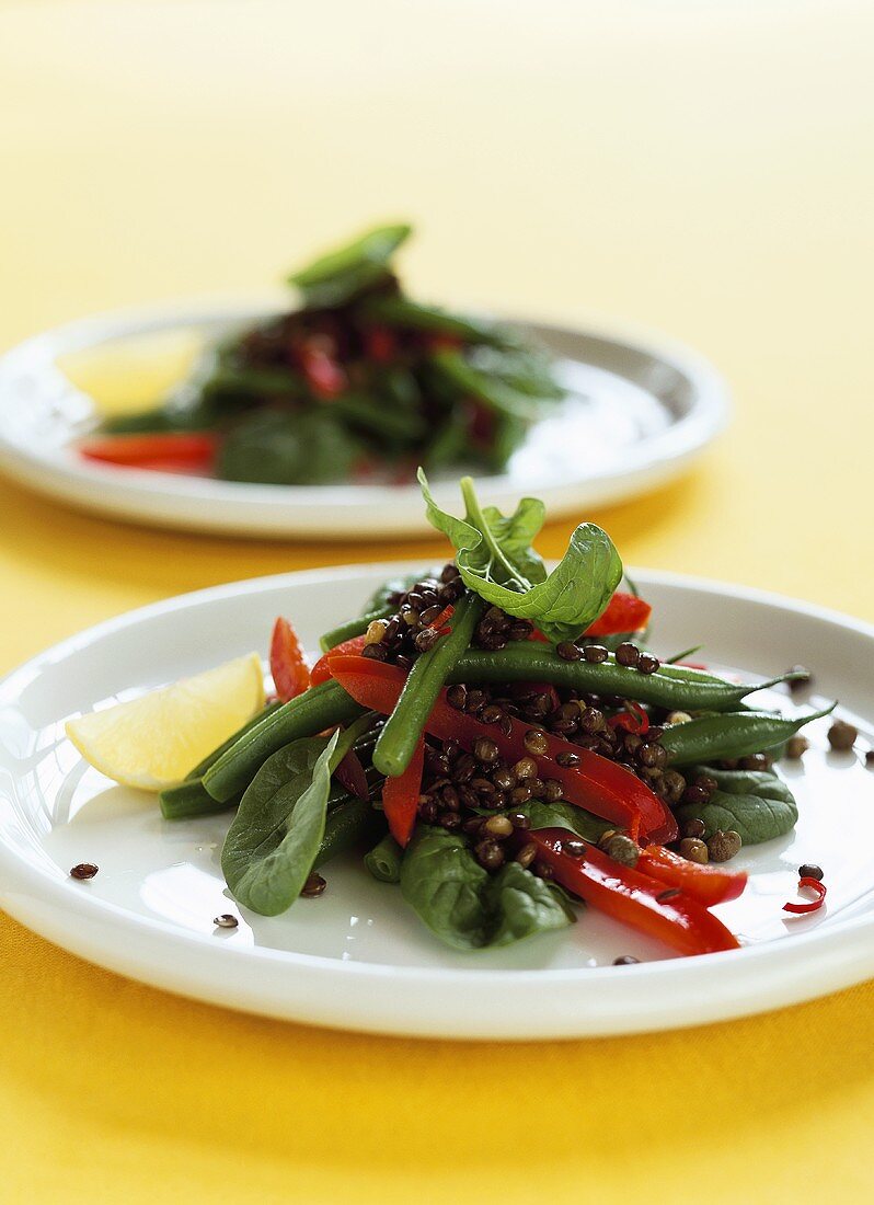 Linsensalat mit Paprika und grünen Bohnen