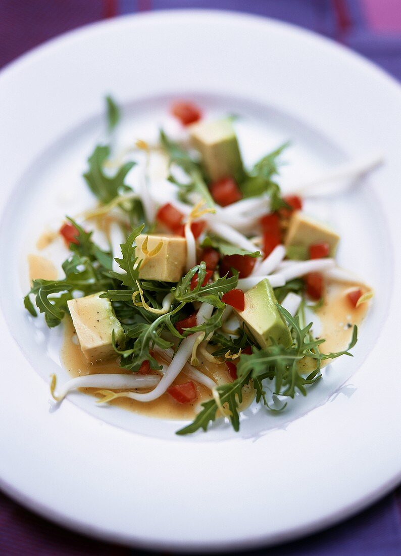 Avocado salad with rocket and sprouts