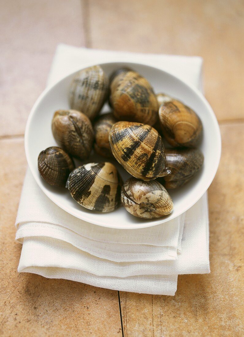 Fresh clams in white bowl