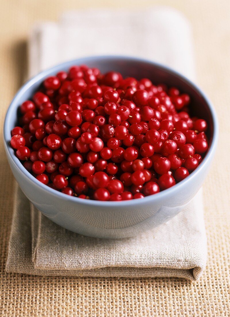 Fresh cranberries in blue bowl