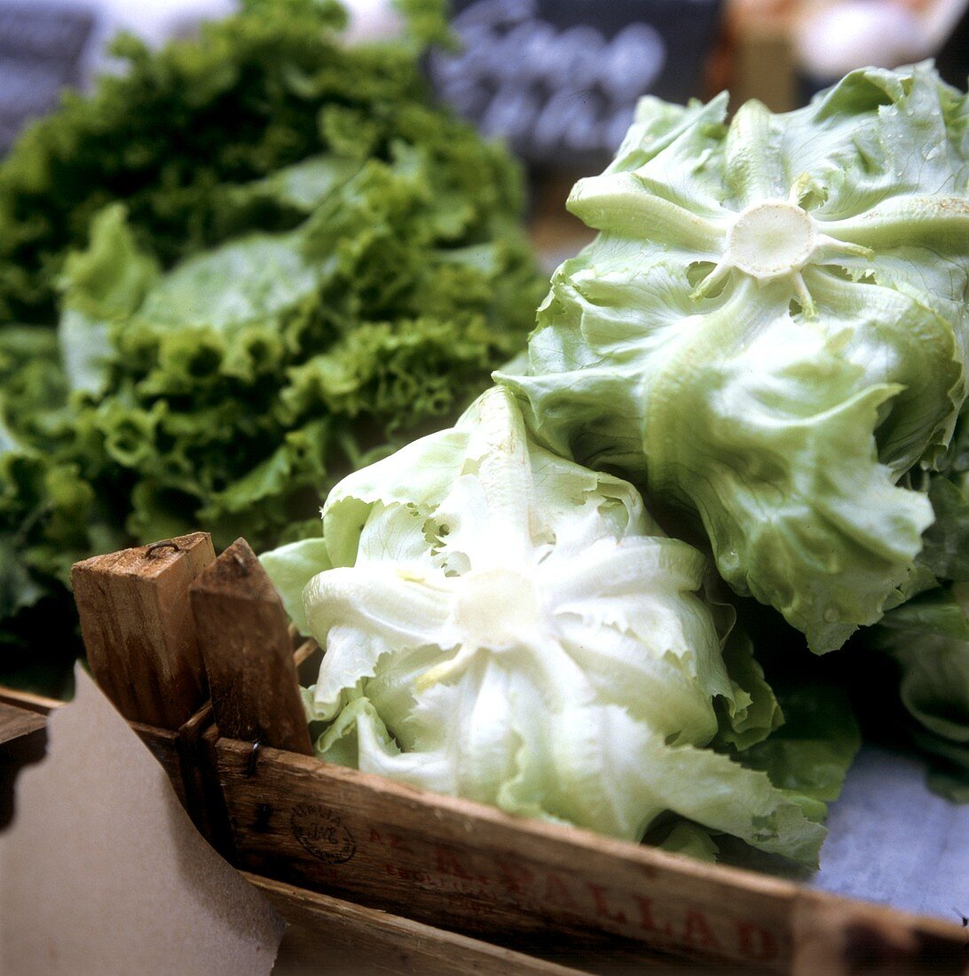 Lettuce and endive at the market