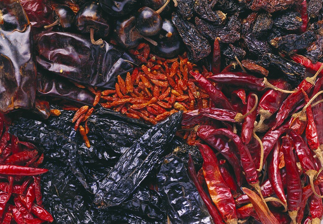 Several types of dried chilis