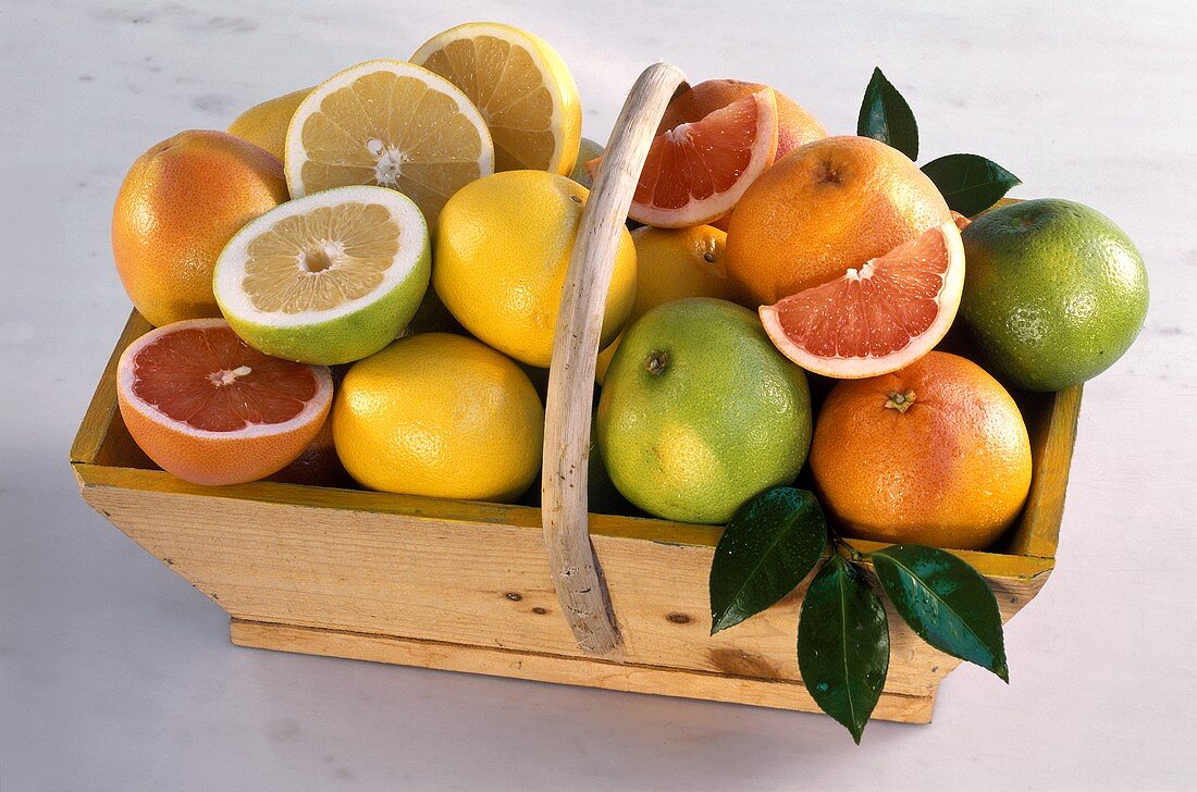 Various types of grapefruit in a trug