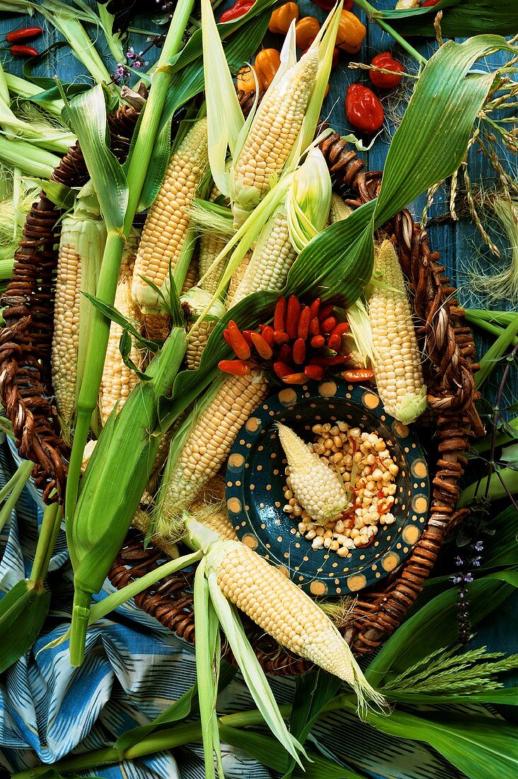 Sweet corn cobs in a basket