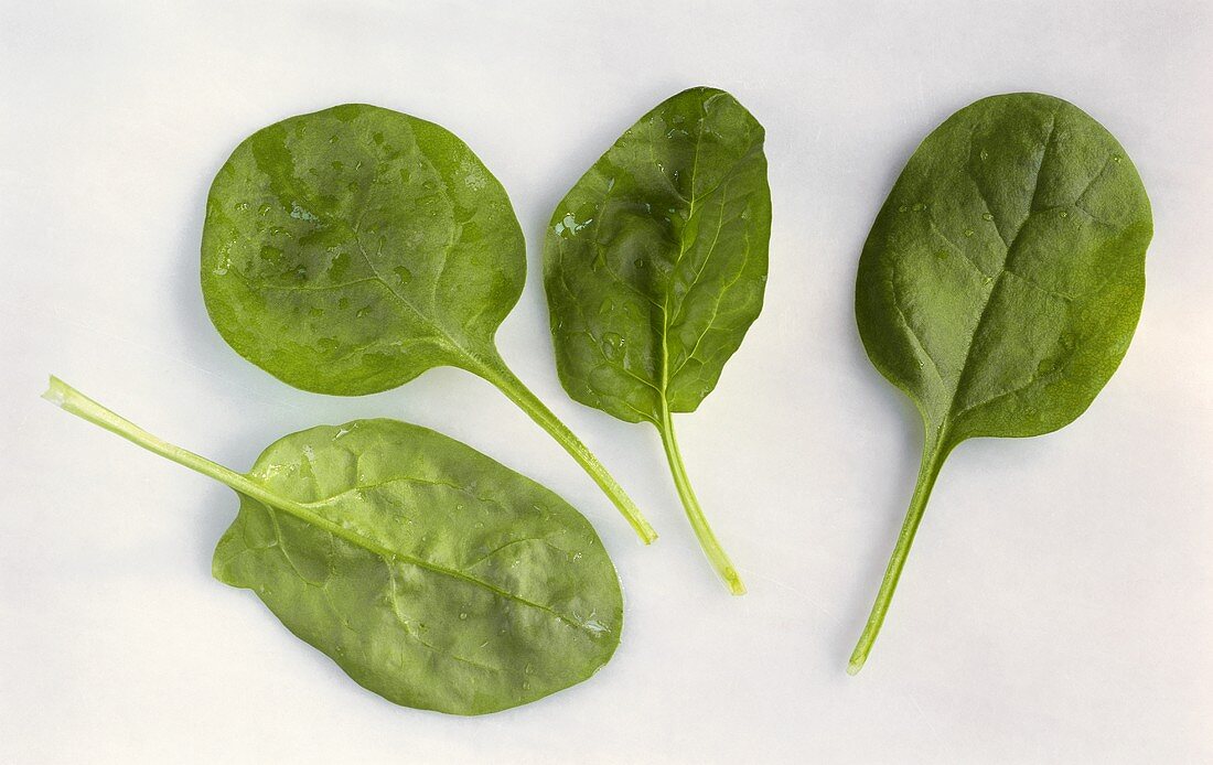 Four spinach leaves