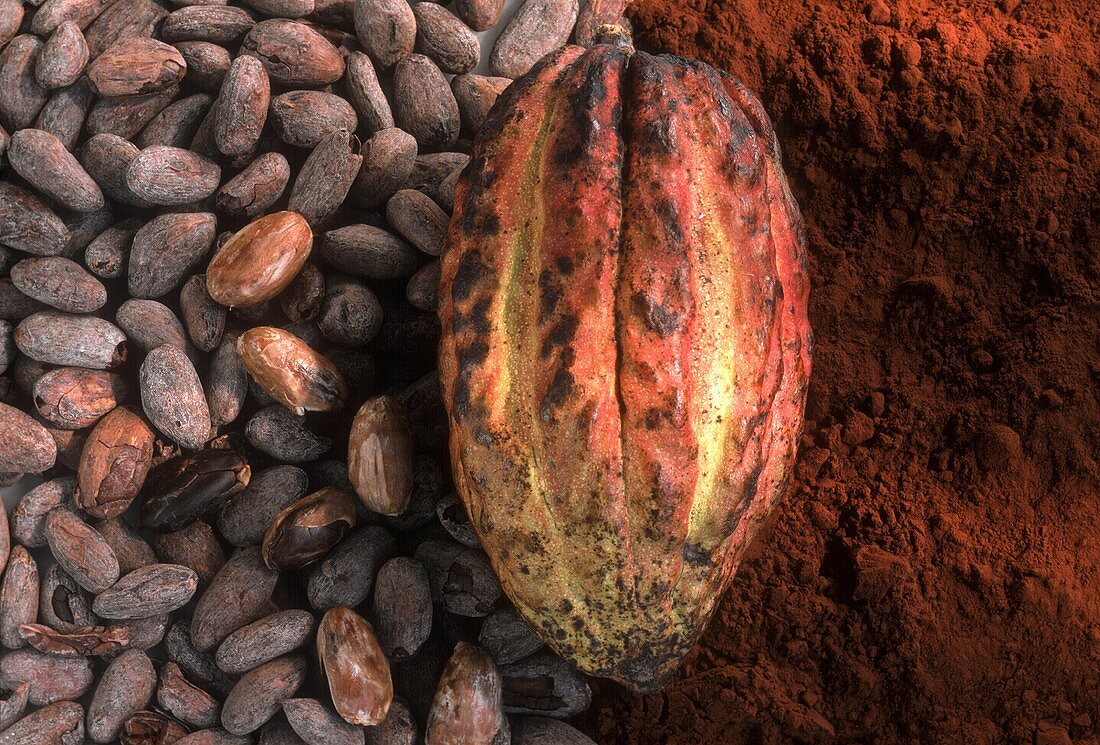 Kakaofrucht, Kakaobohnen und Kakaopulver (Ausschnitt)