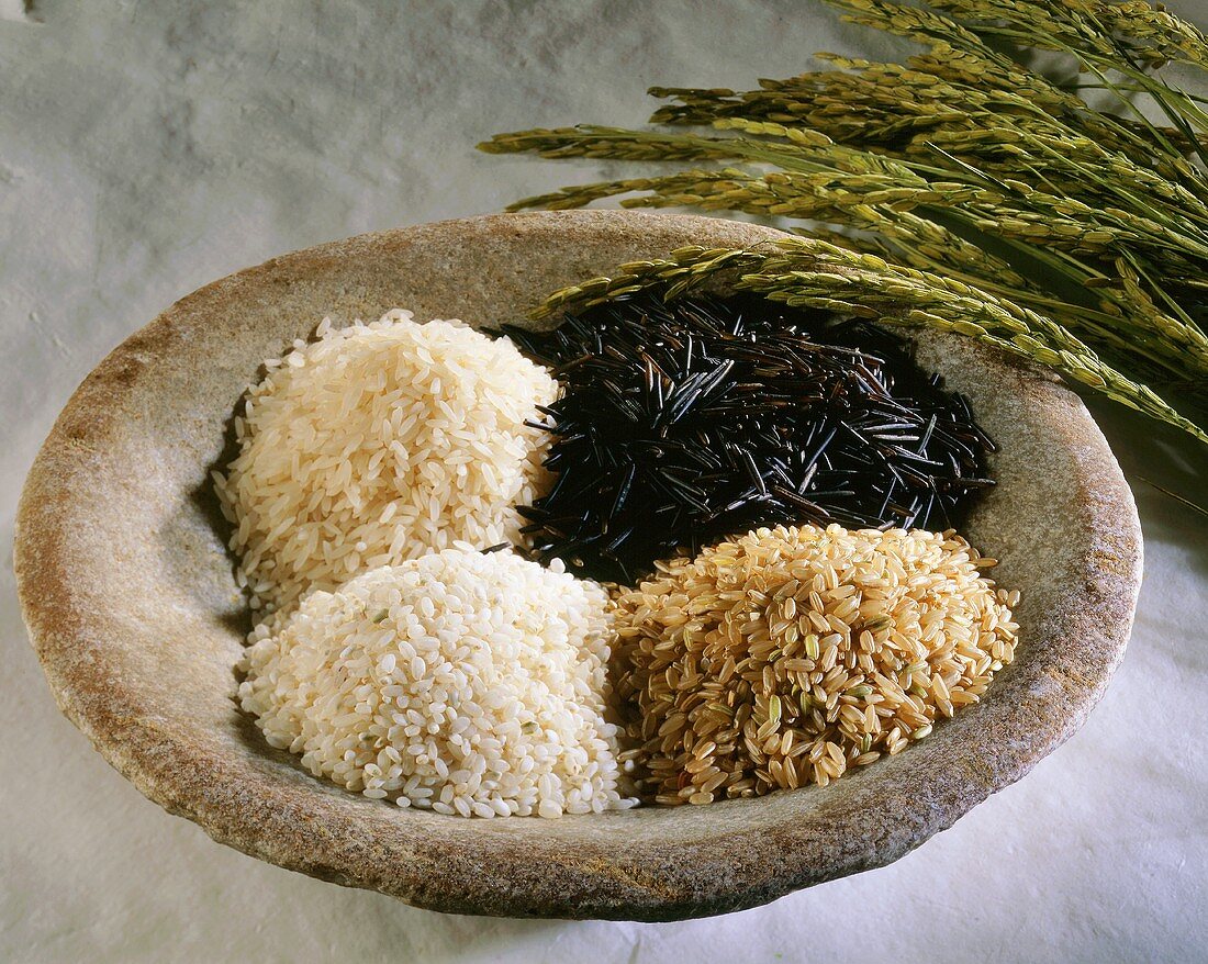 Vier verschiedene Reissorten in einer Schale und Reisähren
