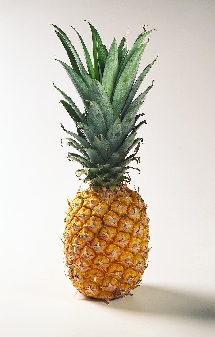 A Pineapple