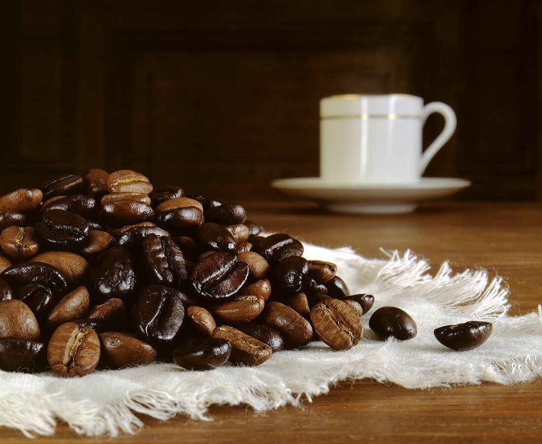 Light and Dark Roasted Coffee Beans