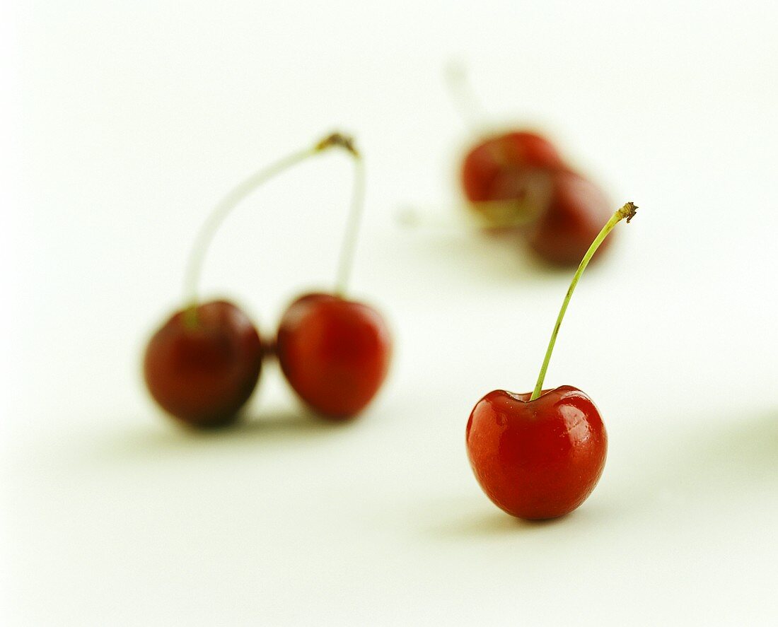Five Red Cherries with Stems