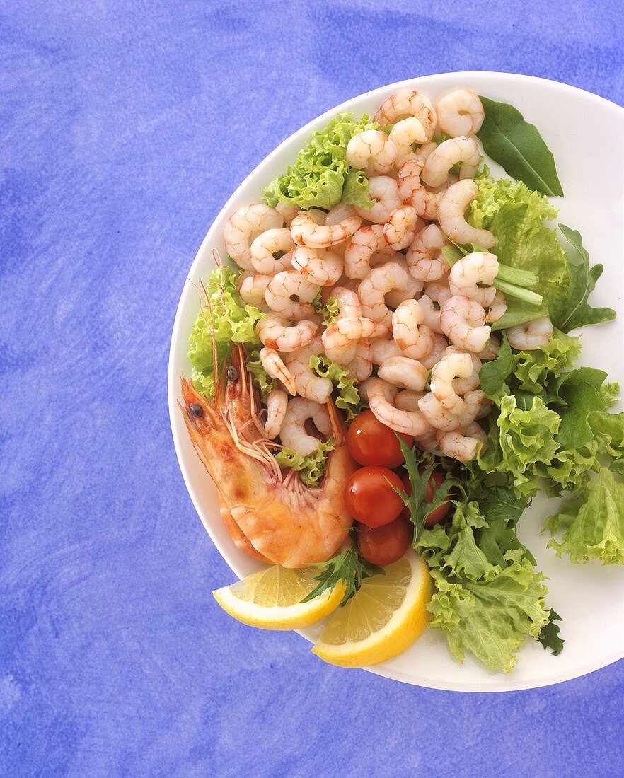 Meeresfrüchtesalat mit Salatblättern auf einem Teller