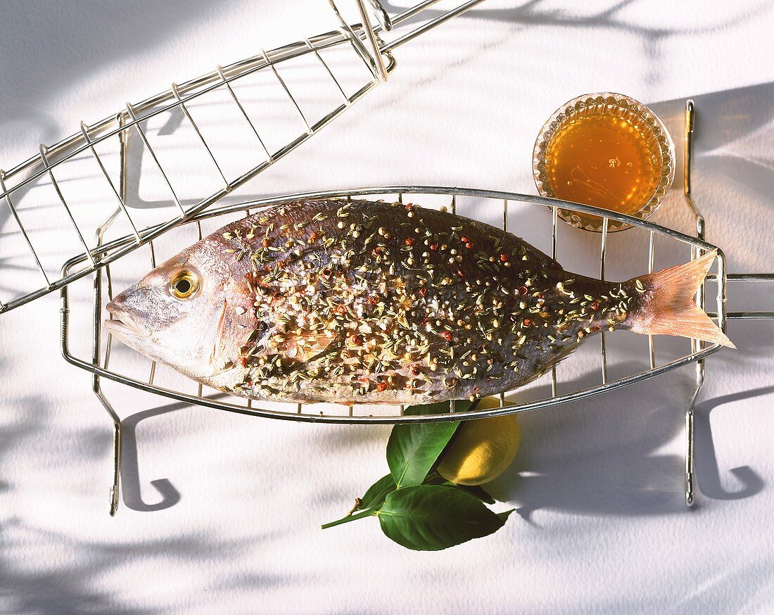 A seasoned sea bream on grill rack