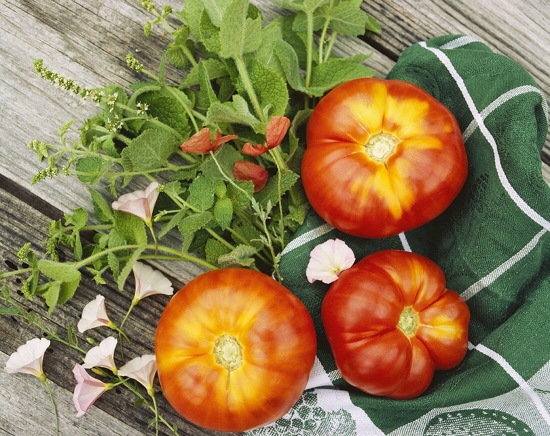 Fleischtomaten, Pfefferminzblätter und verschiedene Blüten