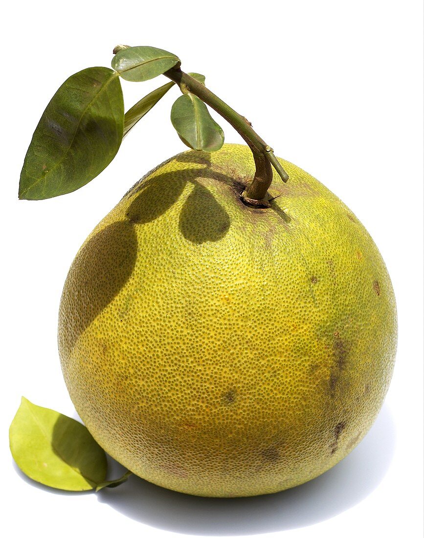 Pomelo with stalk and leaf