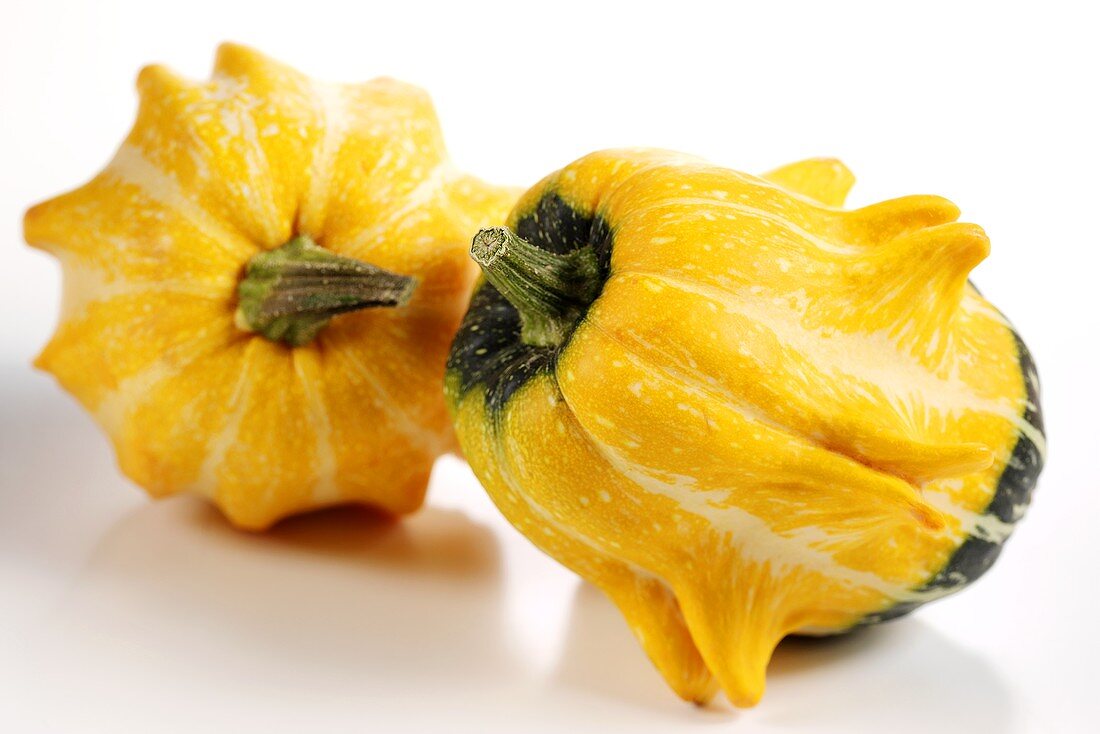 Two yellow and green squashes