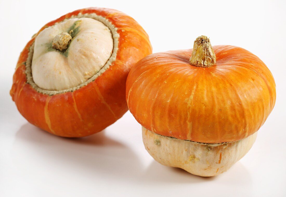 Mini-pumpkins (Turk's turban)